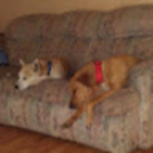 Meet your Posher, Carolyn